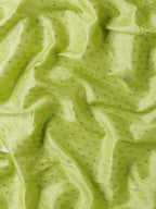 Kesari Kashi Lime Green Banarasi Silk Saree
