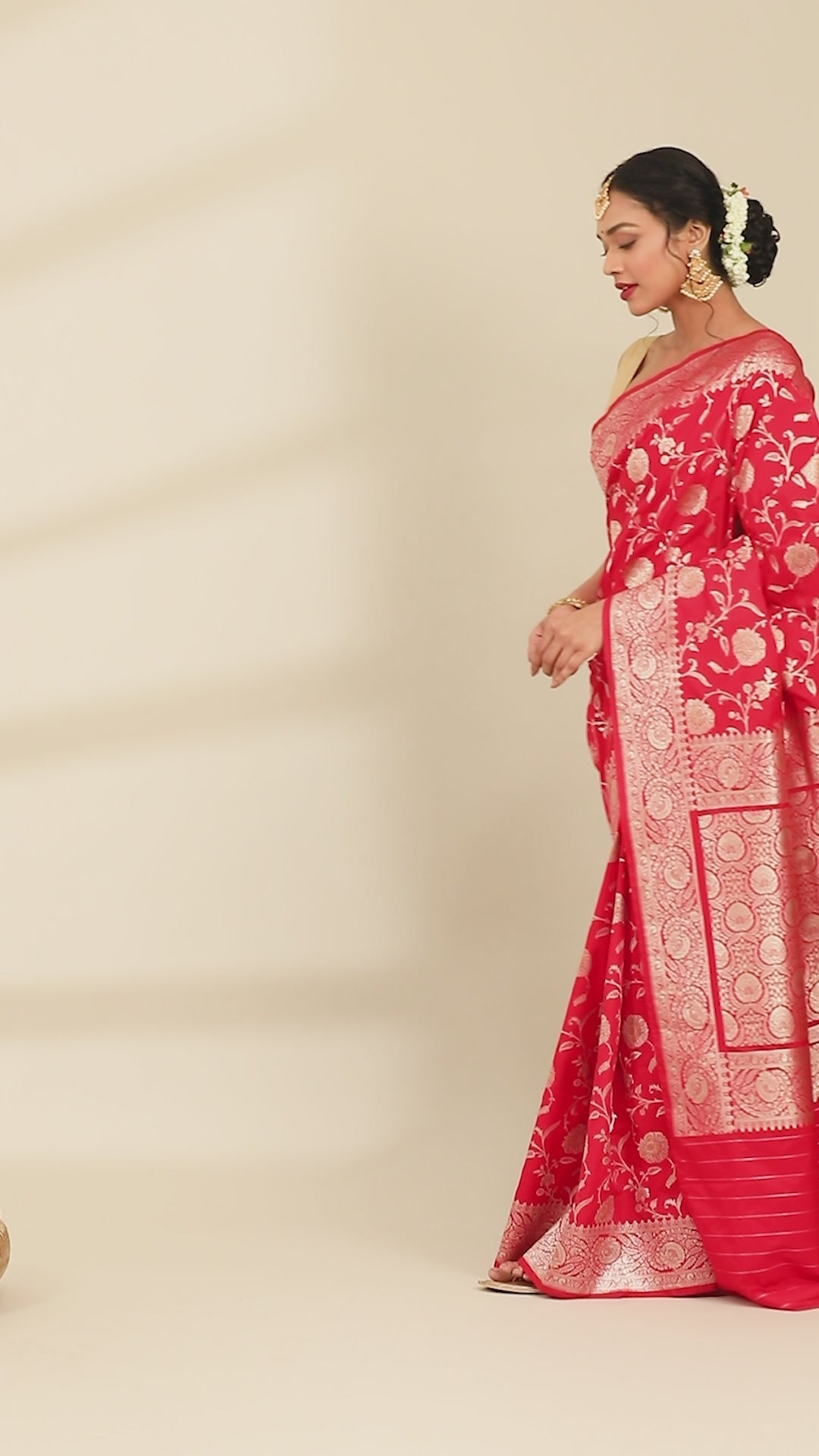 Padma Meenakari Jaal Banarasi Saree